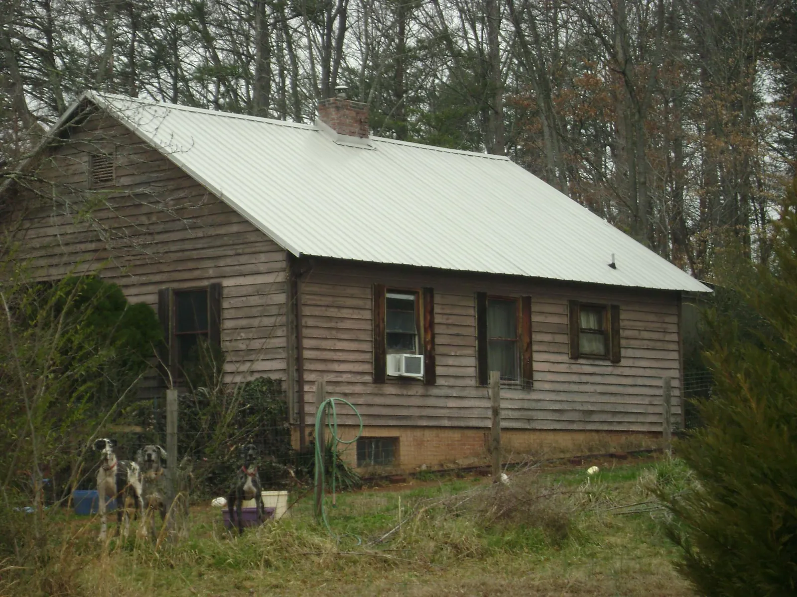 White metal roof on an old wood sided farmhouse, from a Asphalt Shingle Roof Repair job in Brownsville